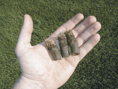 Soil samples taken with our core sampler are removed from several areas of your lawn to provide a better overall picture of the health of the whole lawn.  We can also test individual areas if a specific section needs more attention than others.