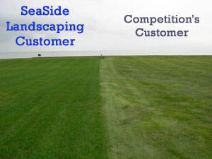 As you can see, the lawn on the left has been meticulously maintained by SeaSide Landscaping using quality, professional equipment in the hands of skilled operators who take the time to make it look beautiful before they leave.  The lawn on the left is mowed once a week at a high rate of speed without regard for overall beauty, just mow, go, collect a check.